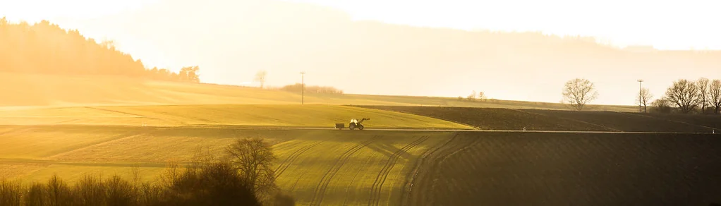 Landwirtschaft